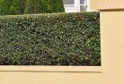 Bundaberg Northhard-landscaping-surfaces-8.jpg; ?>